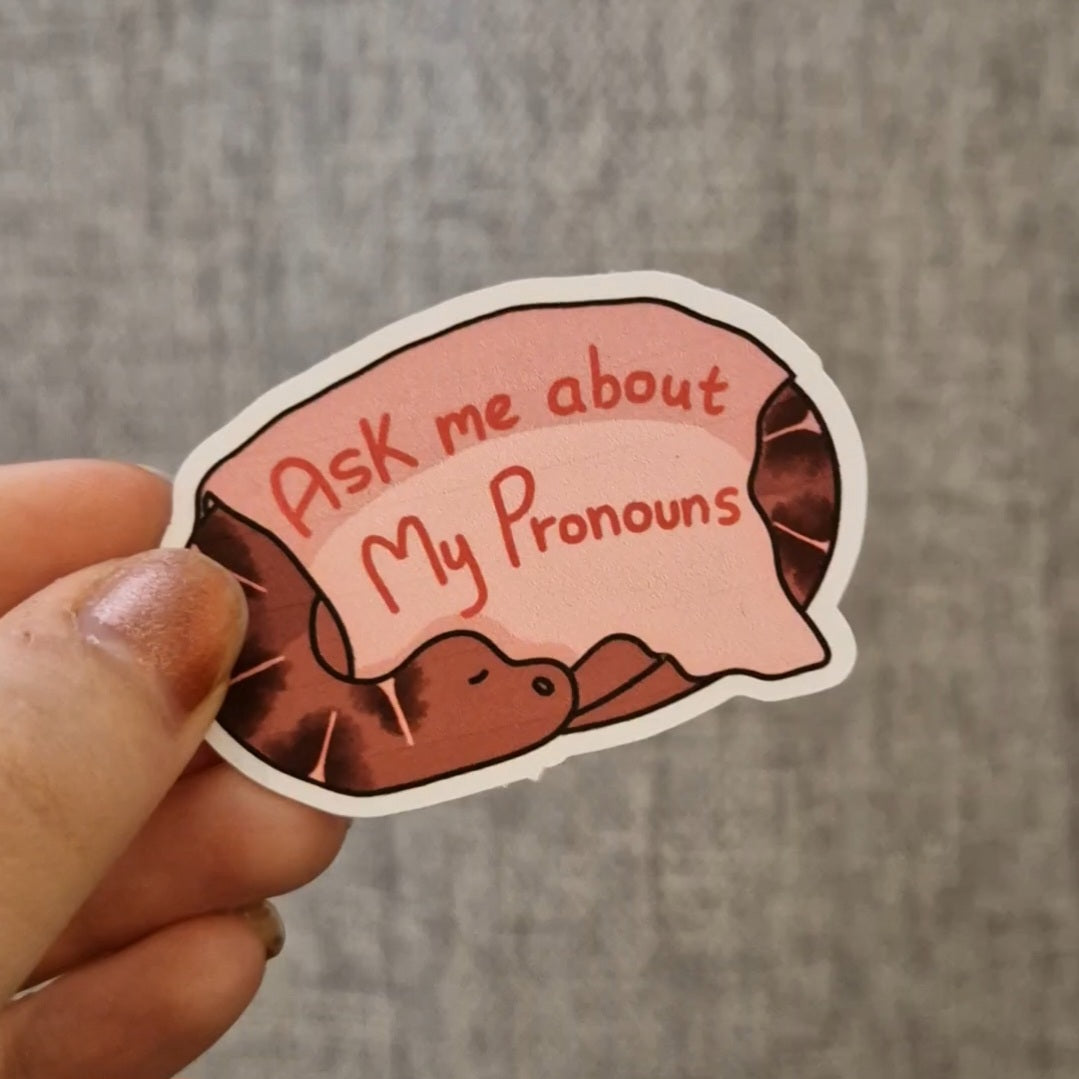 Dinosaur Pronoun Stickers, He/They, He/Him, She/Her, She/They, They/Them, Ask me About my Pronouns